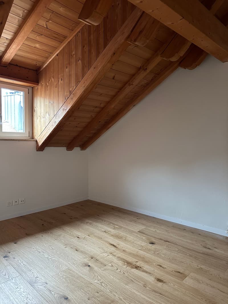 Dachwohnung mitten in der Altstadt (11)