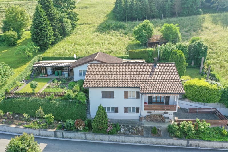 5-Zimmer-Einfamilienhaus mit grosser Gartenoase (2)