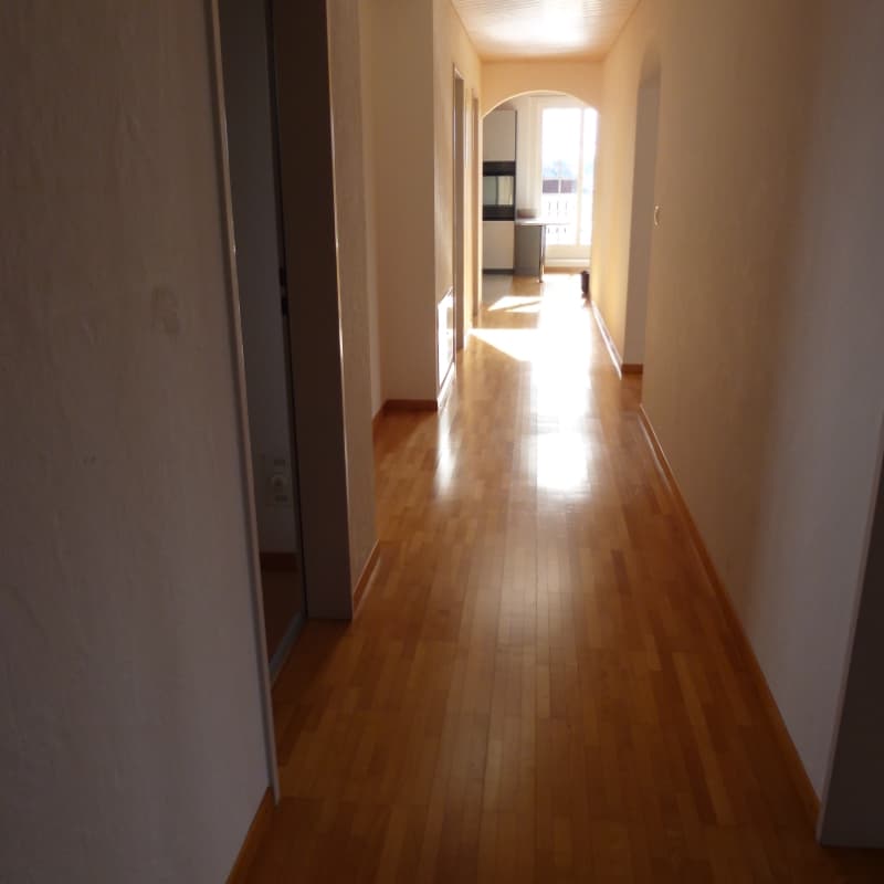 Charmante 4.5-Zimmer-Dachwohnung mit Balkon und traumhafter Aussicht in Obfelden (8)