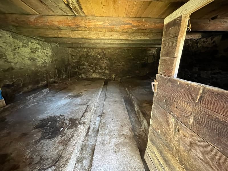 Basement with concrete floor, brick walls, wooden ceiling, passageway with steps
