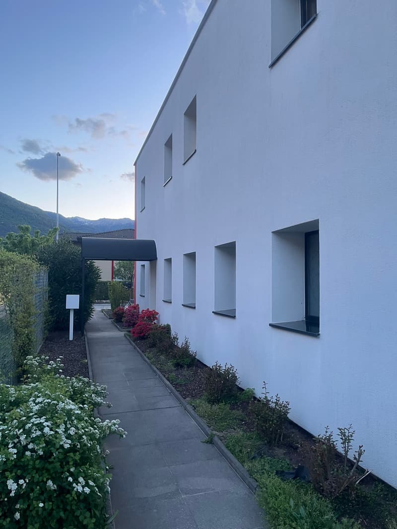 white exterior, multiple windows, tiled walkway, flowering plants, metal pole, garden area