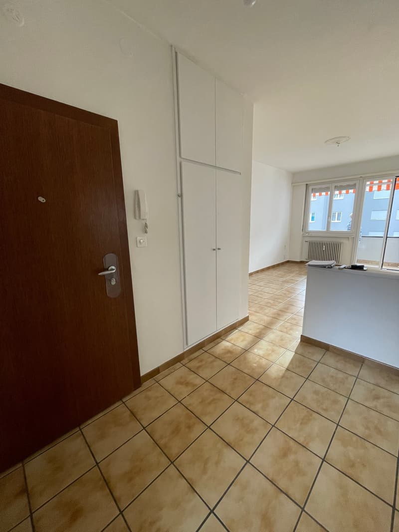 Entrance hall with brown wooden door, white tiled floor, white built-in cabinets, white ceiling, light from the balcony