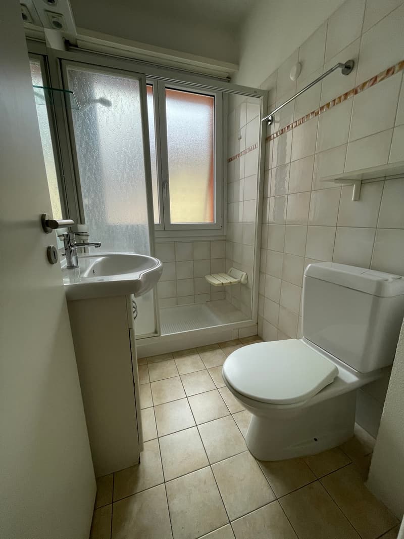small bathroom with shower, sink, and toilet