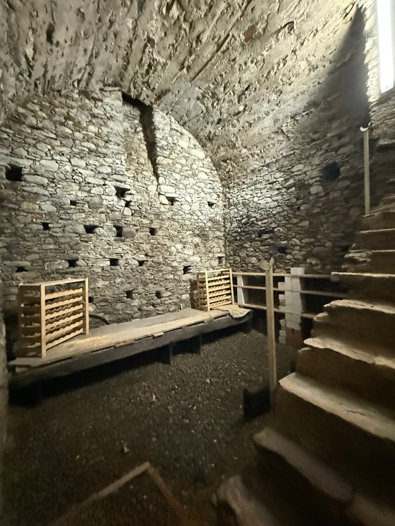 Casa monofamiliare a Giubiasco con grande giardino e spazio per tutti. (12)