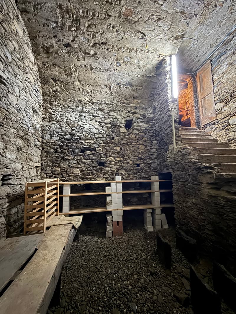 Casa monofamiliare a Giubiasco con grande giardino e spazio per tutti. (11)