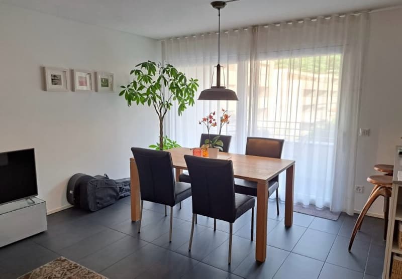 Dining room with wooden table, four chairs, plant, TV, rug, and white curtains