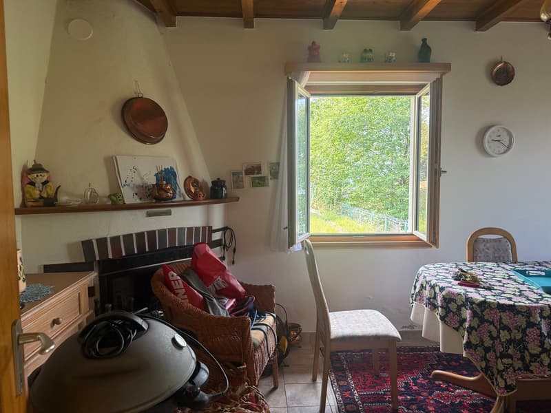 Rustico immerso nel verde con vista panoramica, a pochi minuti da Bellinzona (5)