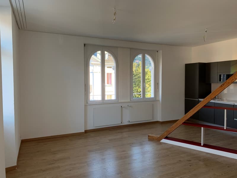 Appartamento di pregio e ricco di fascino nel centro di Bellinzona (2)