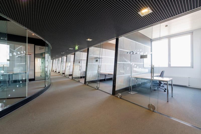 Glass walls, carpet flooring, ceiling lamps, desks, office chairs, large windows