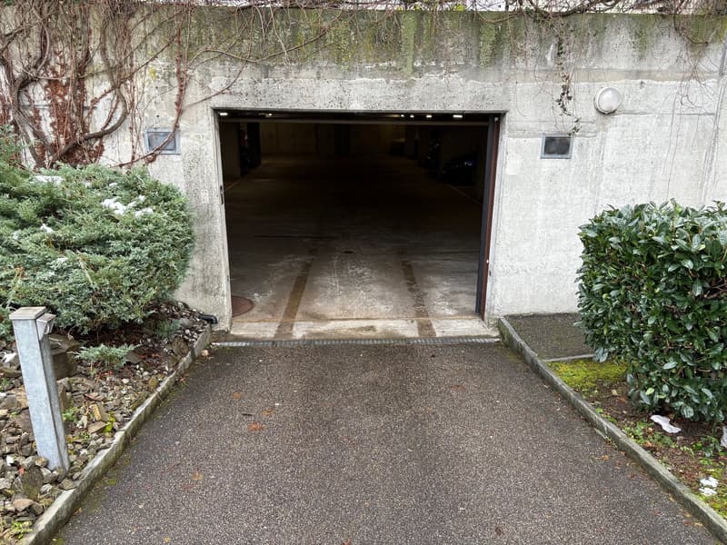 Parkplatz in sauberer Tiefgarage! (2)