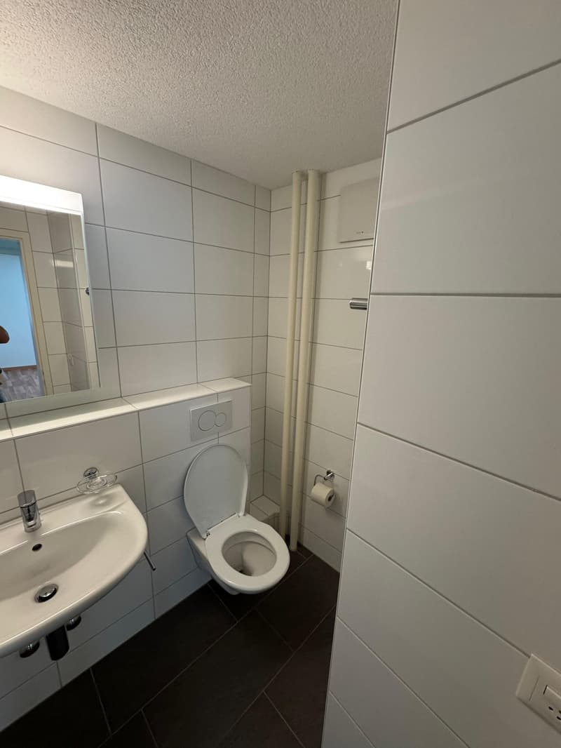 White tiles, a toilet, a sink, a mirror, black floor