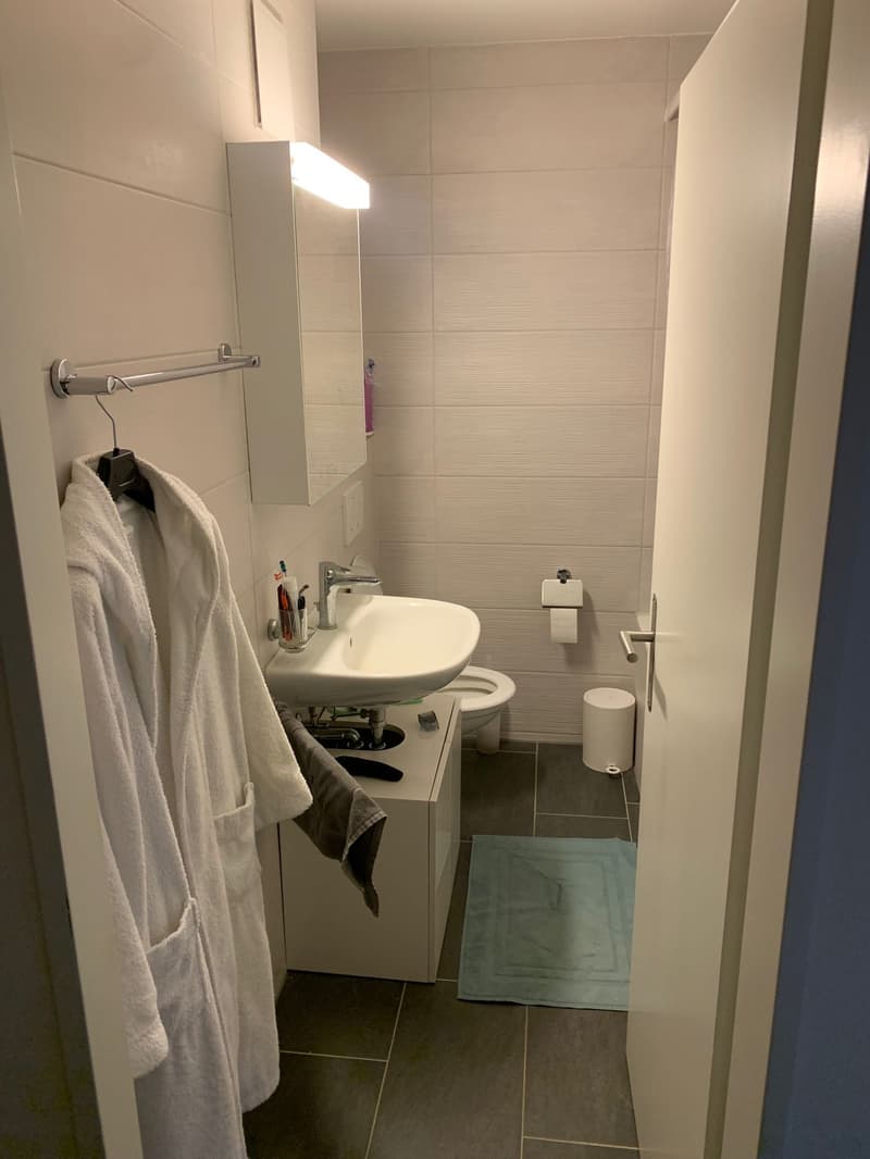 Bathroom with white sink, mirror, toilet, and towel rack