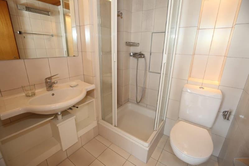 Einmaliges Penthouse mit herrlicher Seesicht zu vermieten! (7)