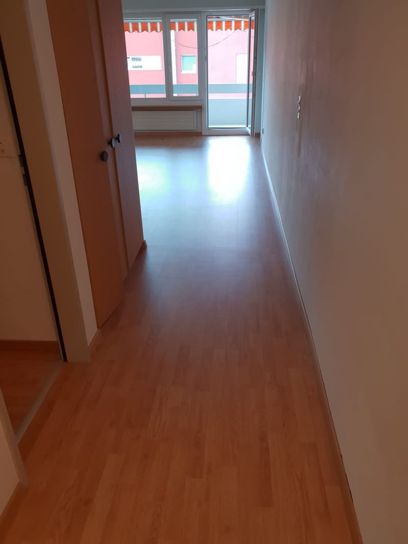 Herrliche 1.5 Zimmerwohnung! (5)