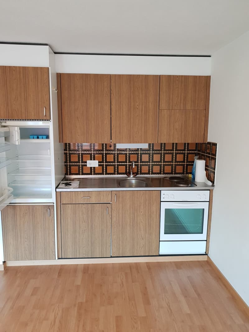 Herrliche 1.5 Zimmerwohnung! (2)