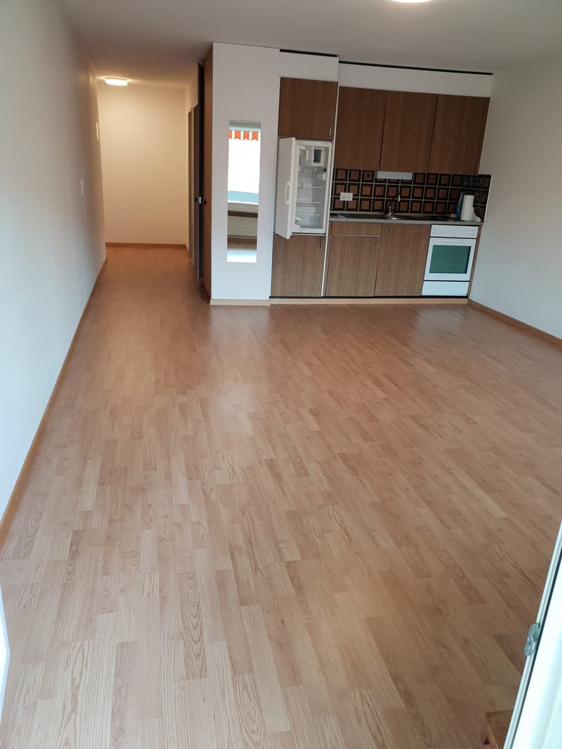 Herrliche 1.5 Zimmerwohnung! (3)