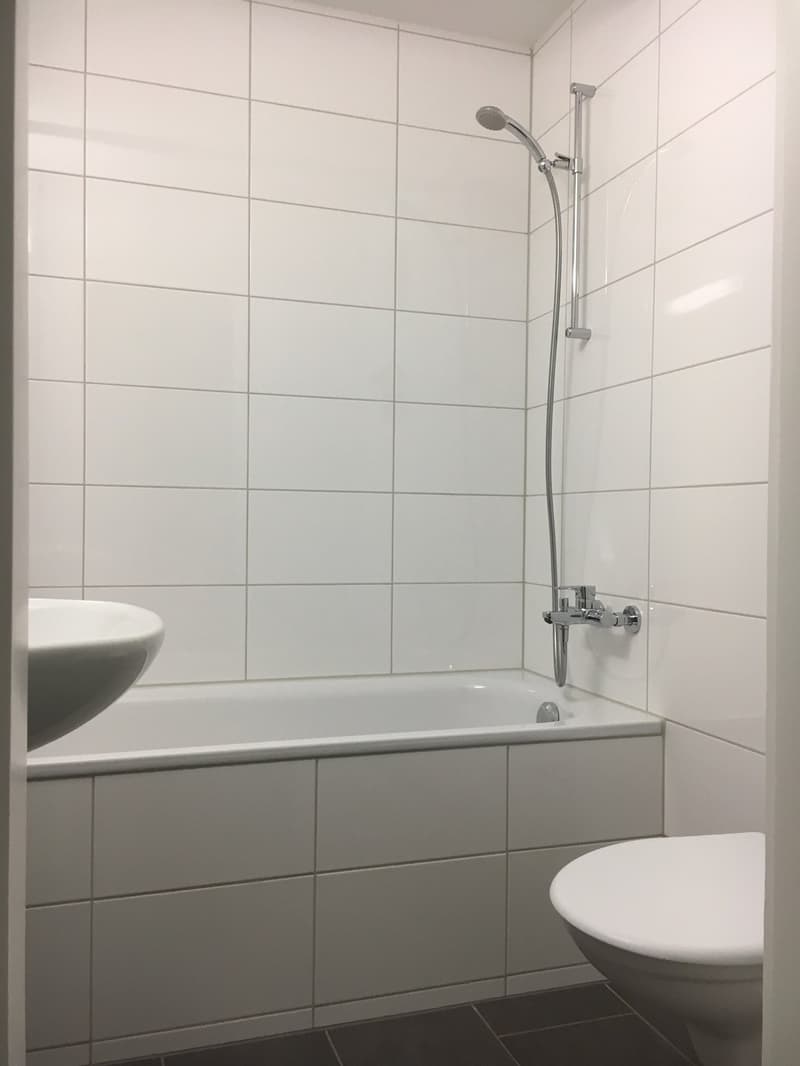 Wunderschöne 3 Zimmerwohnung!! (3)