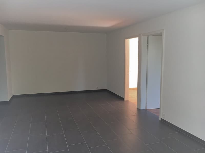 Wunderschöne 3 Zimmerwohnung!! (7)
