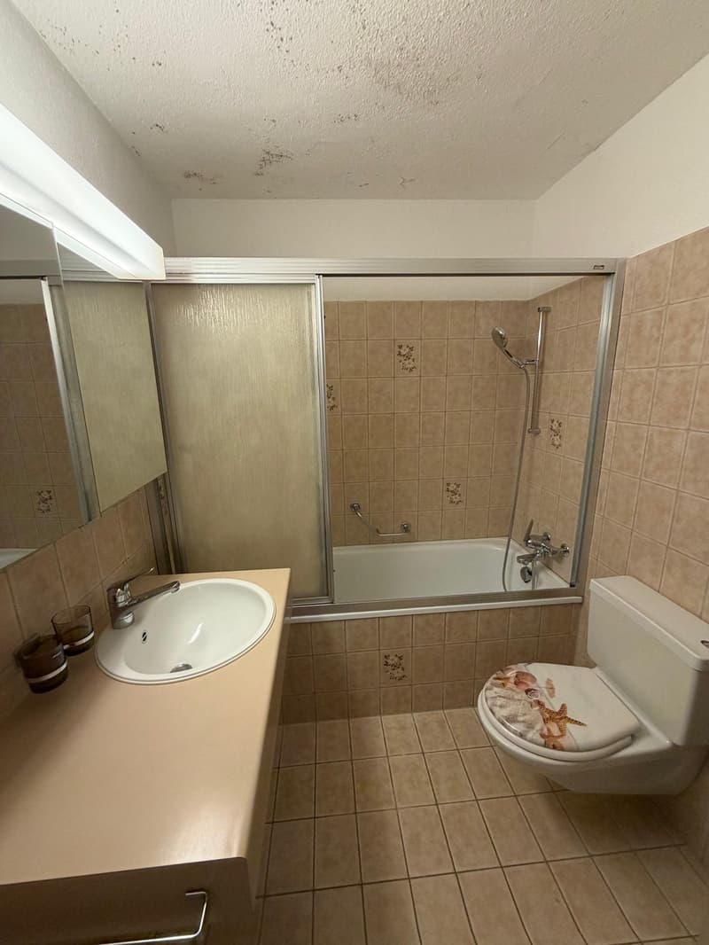 3 Zimmer- Gartenwohnung mit herrlichem Sitzplatz !! (3)