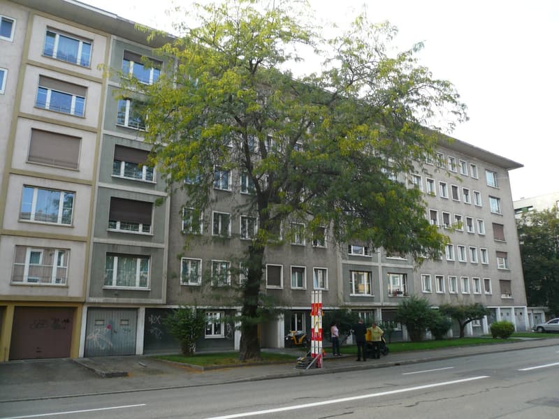 Wunderbare 3.5 Zimmerwohnung am Wasgenring 100! (1)