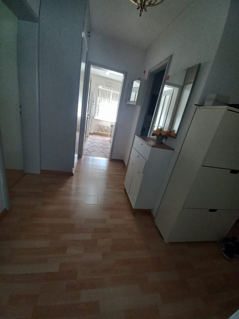 Wunderbare 3.5 Zimmerwohnung am Wasgenring 100! (5)