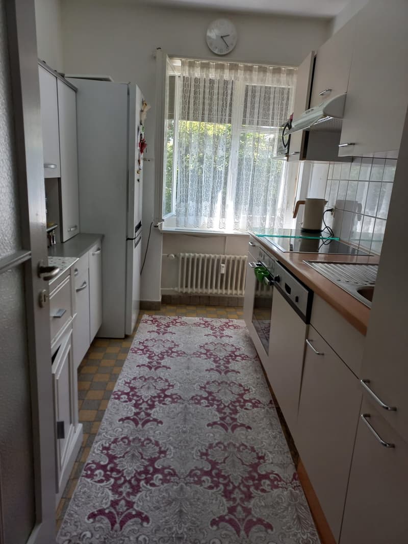 Wunderbare 3.5 Zimmerwohnung am Wasgenring 100! (4)