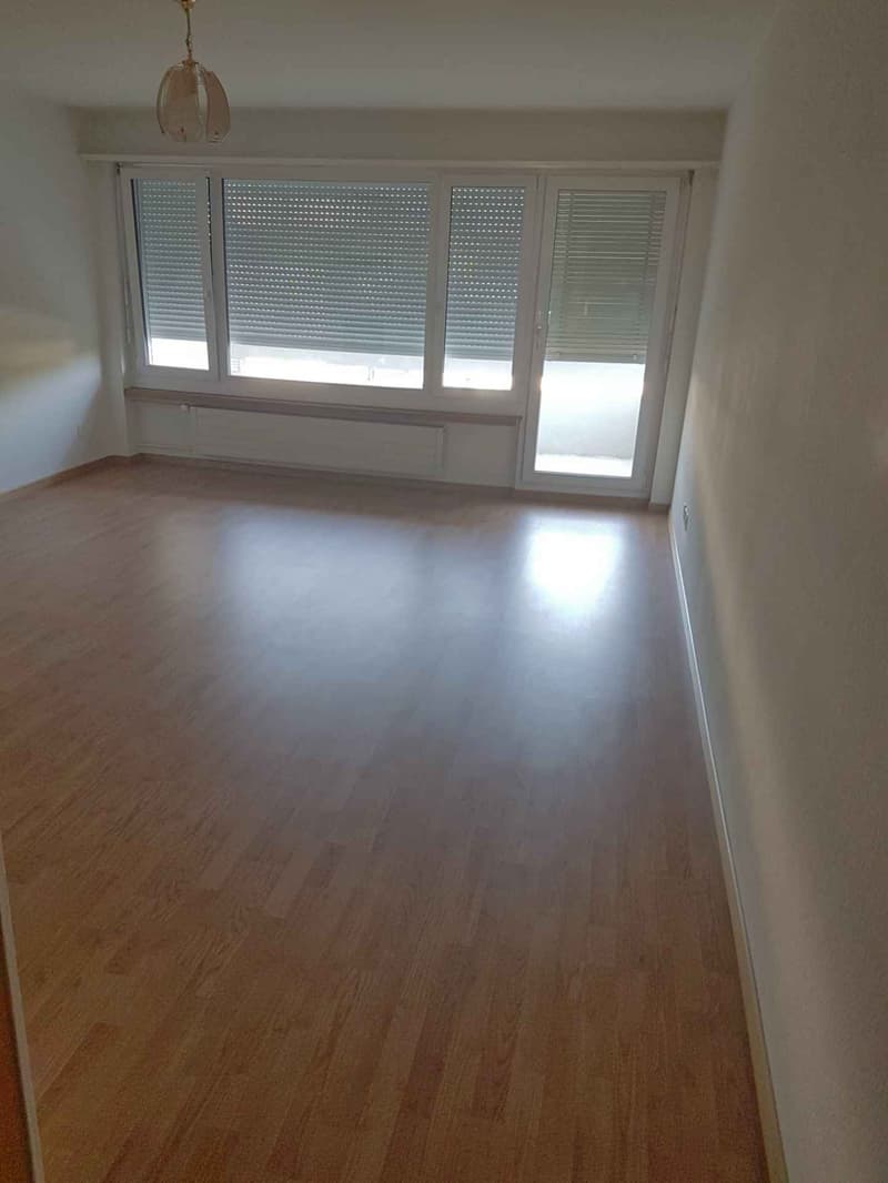 Herrliche 1 Zimmerwohnung zu vermieten! (6)