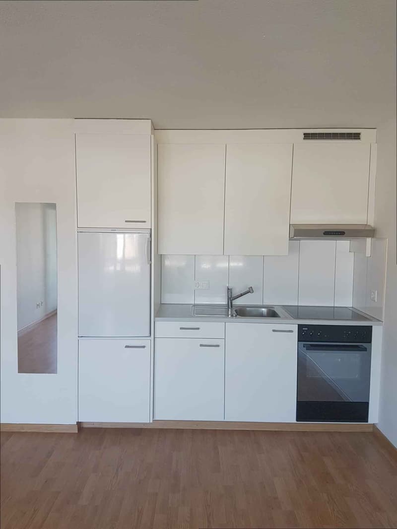 Herrliche 1 Zimmerwohnung zu vermieten! (3)