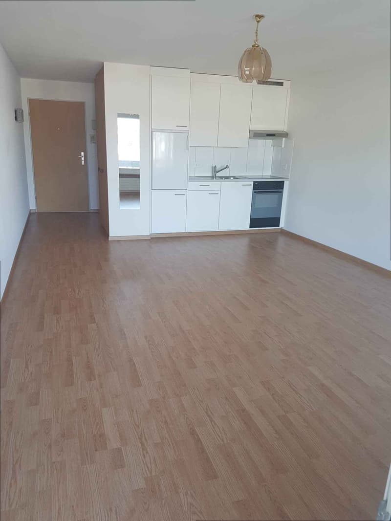 Herrliche 1 Zimmerwohnung zu vermieten! (2)