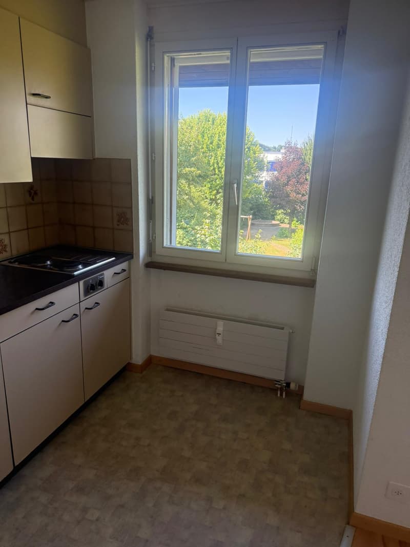 Wunderbare 1.5 Zimmerwohnung mit Balkon (3)