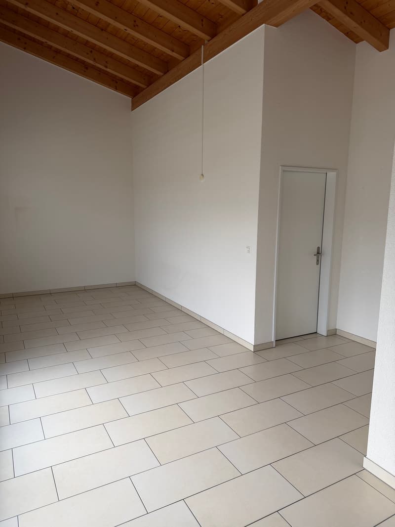 Einmalige 2 Zimmerwohnung mit riesiger Terasse! (4)