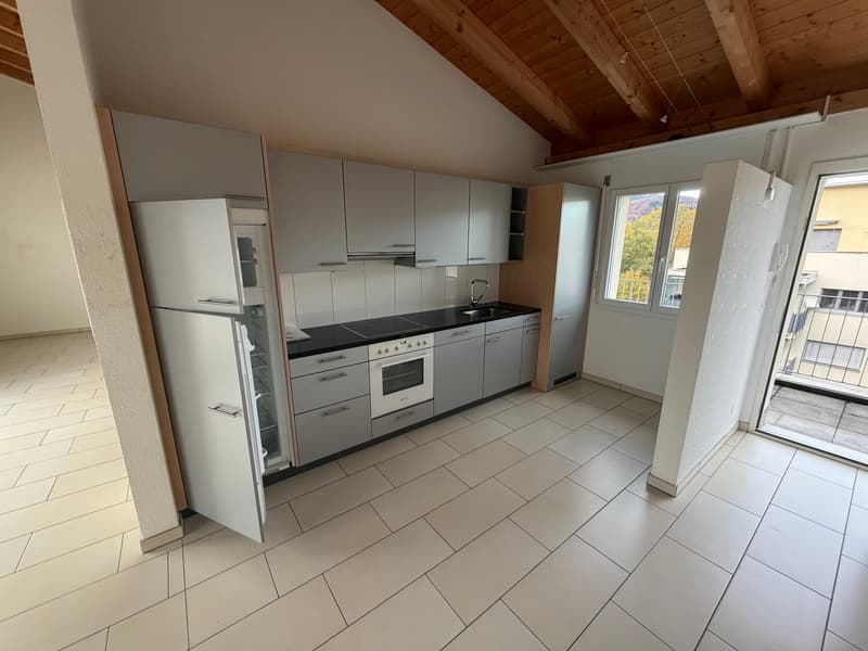 Einmalige 2 Zimmerwohnung mit riesiger Terasse! (2)