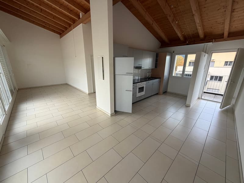 Einmalige 2 Zimmerwohnung mit riesiger Terasse! (3)
