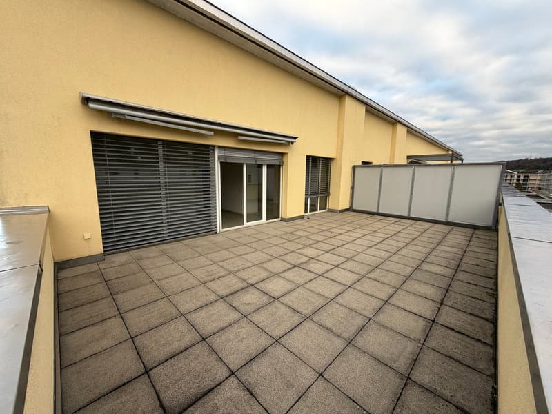 Einmalige 2 Zimmerwohnung mit riesiger Terasse! (7)
