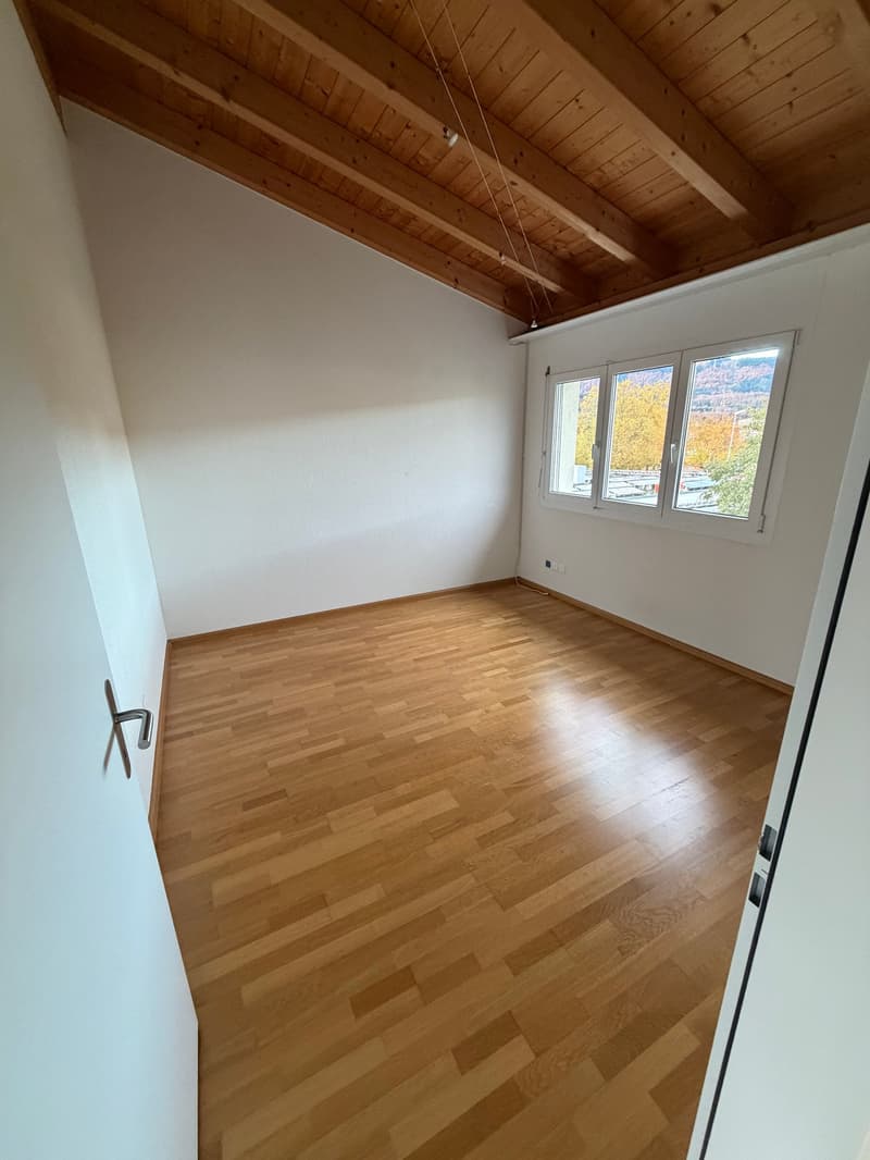 Einmalige 2 Zimmerwohnung mit riesiger Terasse! (5)