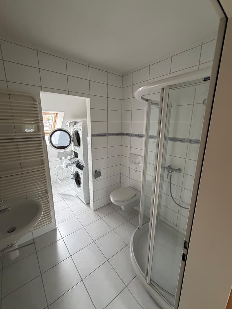 Einmalige 4.5 Zimmer Duplexwohnung! (6)