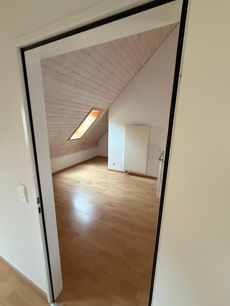 Einmalige 4.5 Zimmer Duplexwohnung! (12)