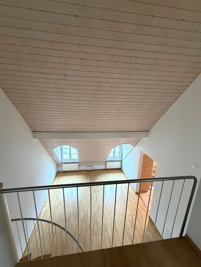 Einmalige 4.5 Zimmer Duplexwohnung! (10)