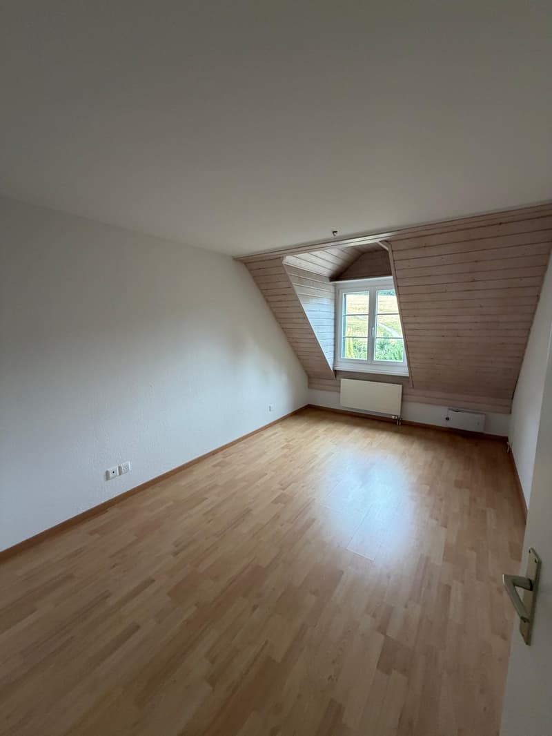 Einmalige 4.5 Zimmer Duplexwohnung! (8)