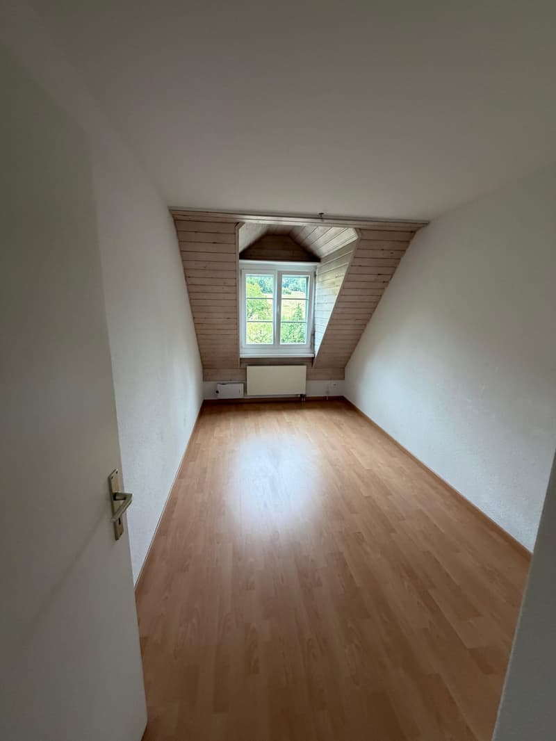Einmalige 4.5 Zimmer Duplexwohnung! (7)