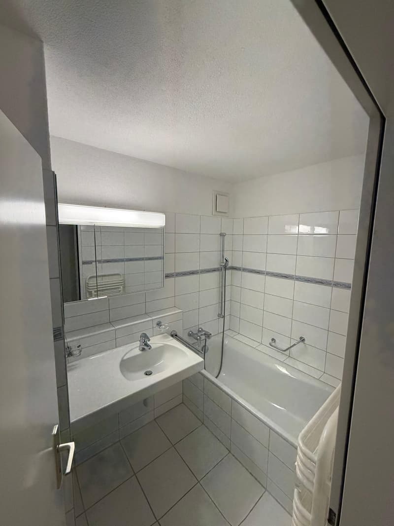 Einmalige 4.5 Zimmer Duplexwohnung! (4)