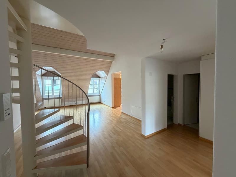Einmalige 4.5 Zimmer Duplexwohnung! (3)