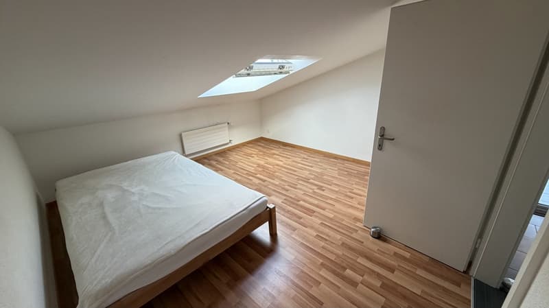 Wunderschöne 2-Zimmerwohnung im DG! (8)