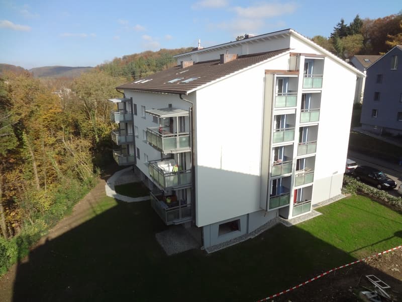 Wunderschöne 2-Zimmerwohnung im DG! (1)