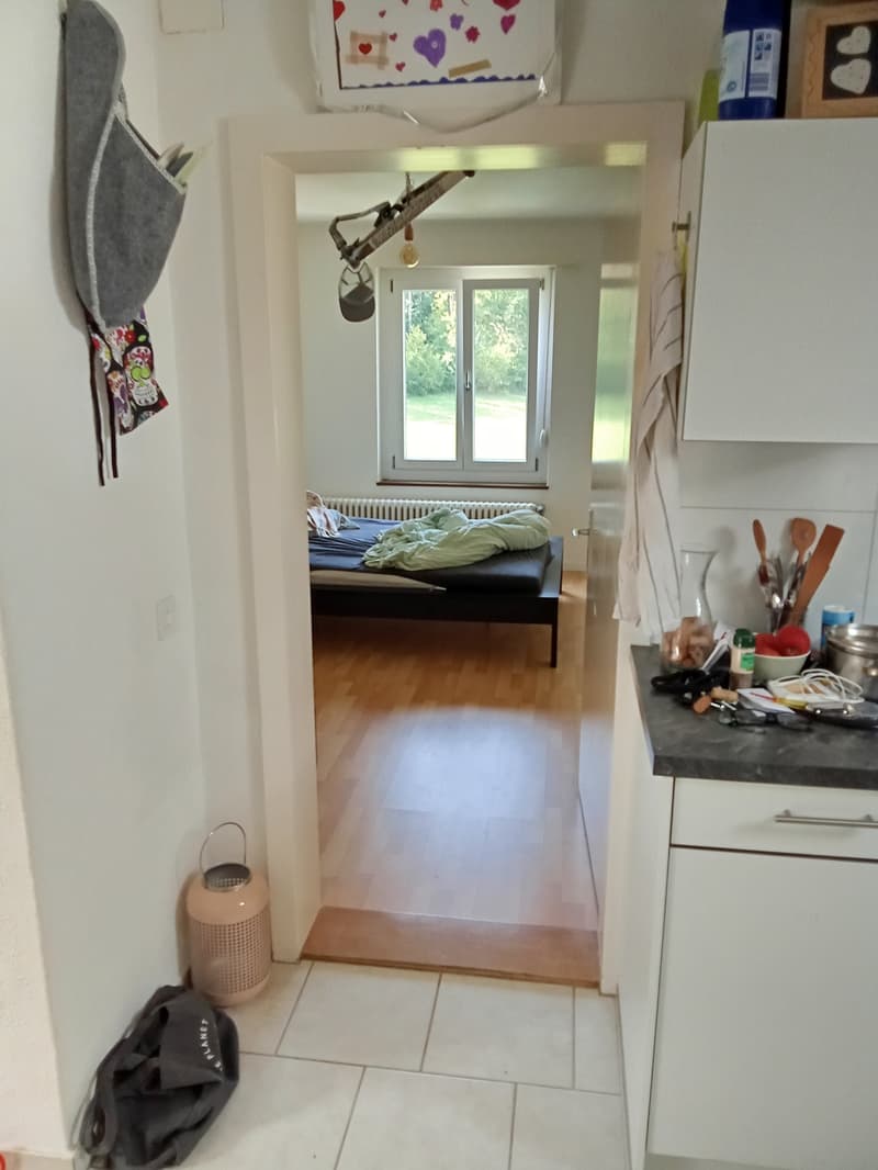 2.5 Zimmerwohnung an der Hauptstrasse 4, Müllingen zu vermieten! (6)