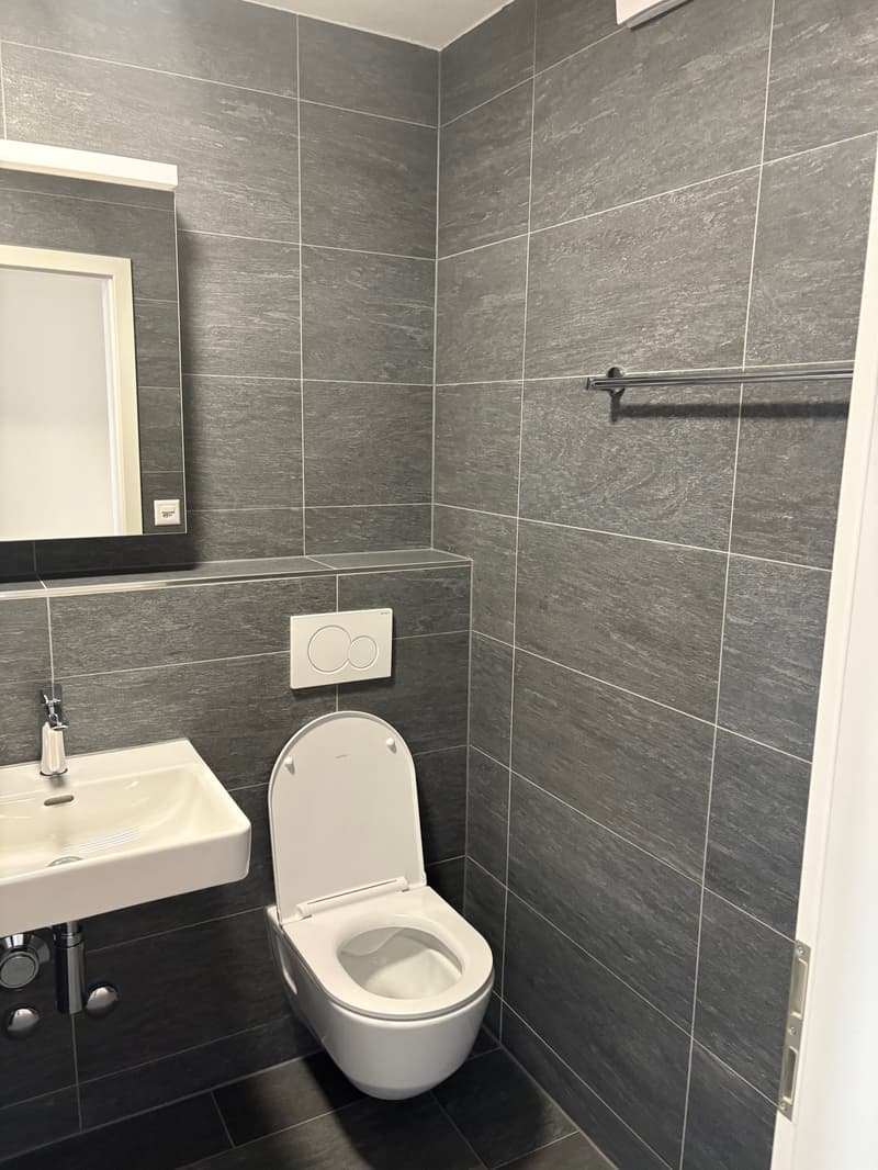 Erstvermietung von totalsanierter 3.5-Zimmer-Wohnung an zentraler Lage in Dietikon (8)