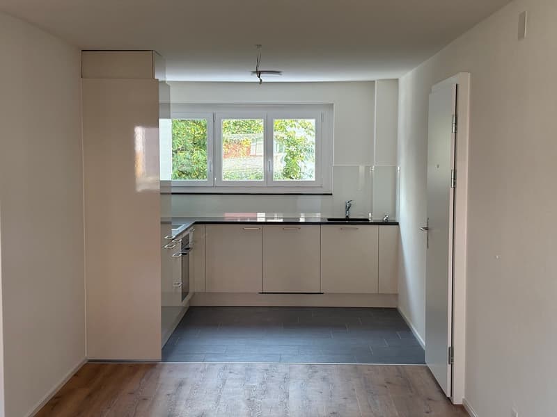 Erstvermietung von totalsanierter 3.5-Zimmer-Wohnung an zentraler Lage in Dietikon (13)