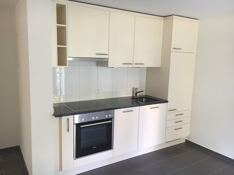 Wunderschöne 2 Zimmerwohnung!! (2)