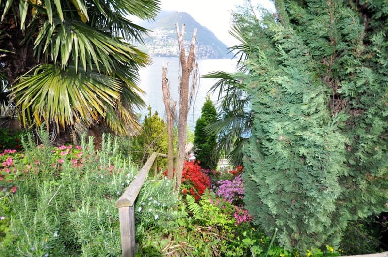 Terreno vista lago con villetta da ampliare o demolire a Paradiso (6)