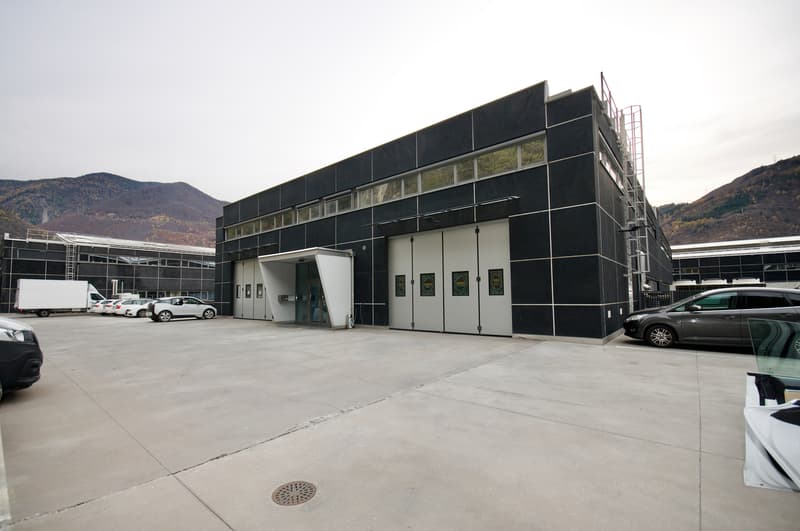 Spazio Commerciale di 338 mq con 3 uffici in Zona Comoda a Castione (10)